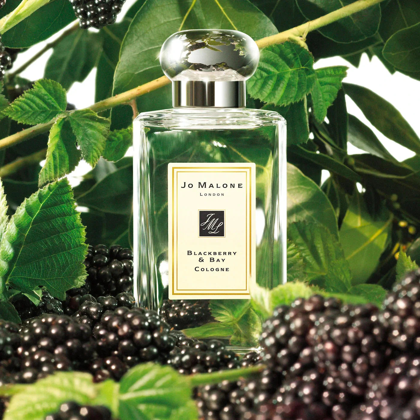 Jo Malone Blackberry & Bay Cologne 3.4 oz Uni-Sex