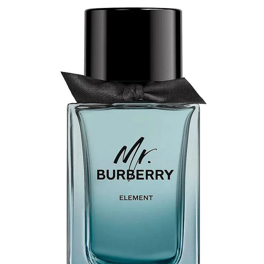 Mr. Burberry Element For Men