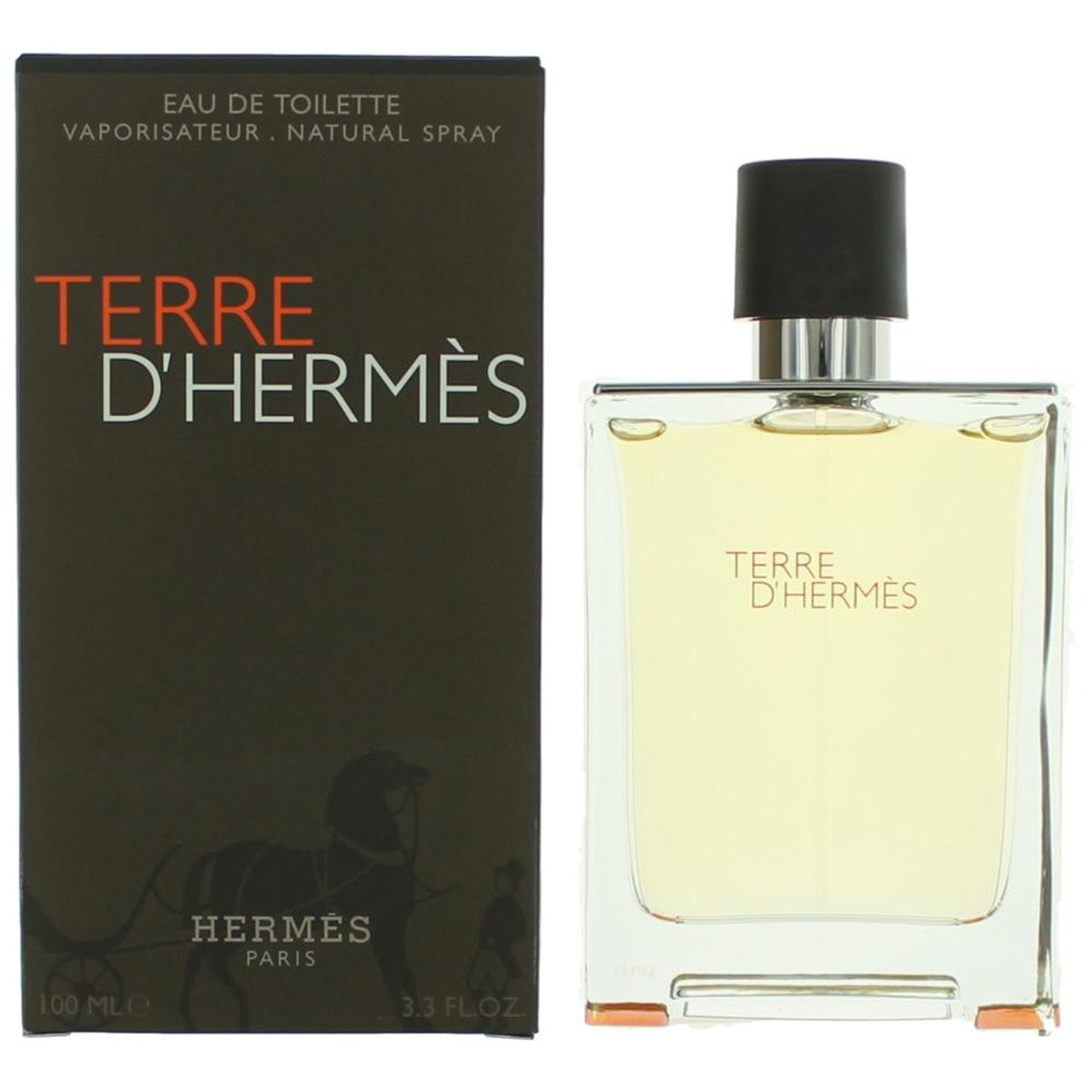 Terre D'Hermes By Hermes Eau De Toilette 3.3 Oz Men Spray
